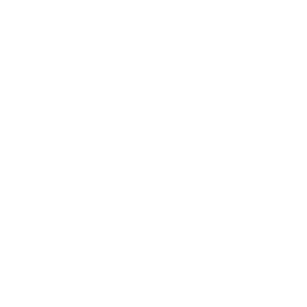 Logo_Rapid City Airport.png