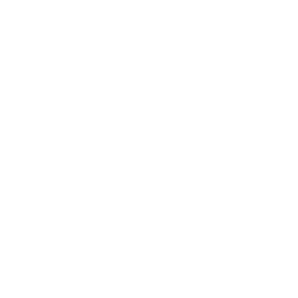 Logo_DSU.png