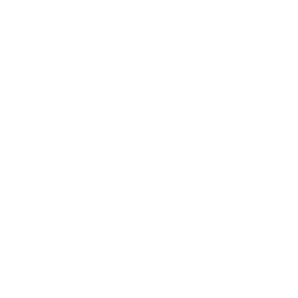 Logo_Bluepeak.png