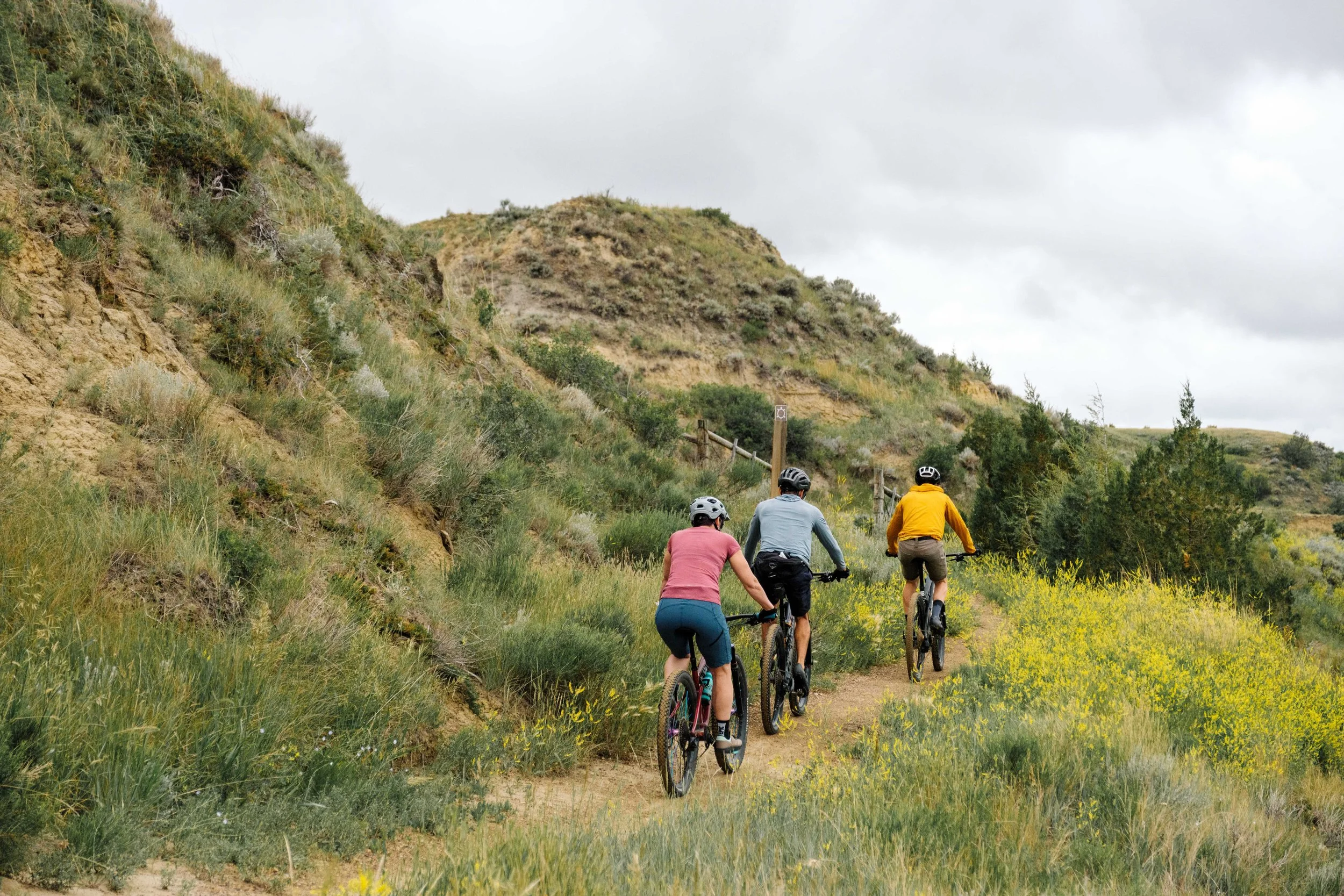 Medora_image_6.jpeg