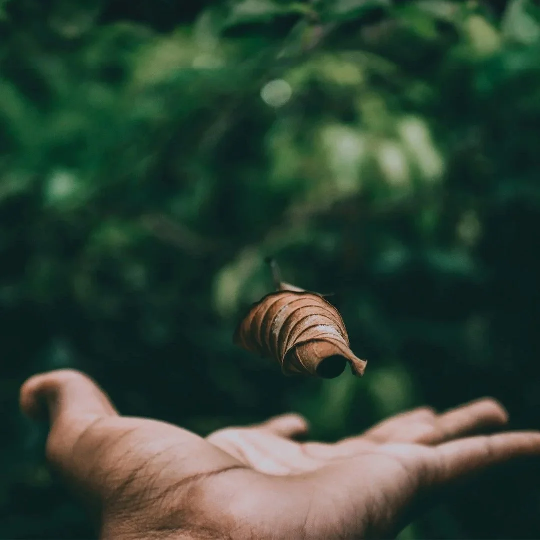 How to be a sensitive person, in an insensitive world?