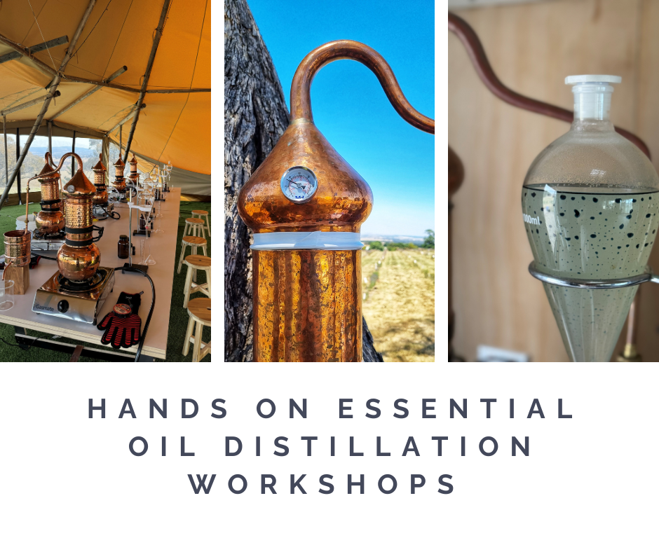 Hands on Distillation Workshop on Sunshine Coast