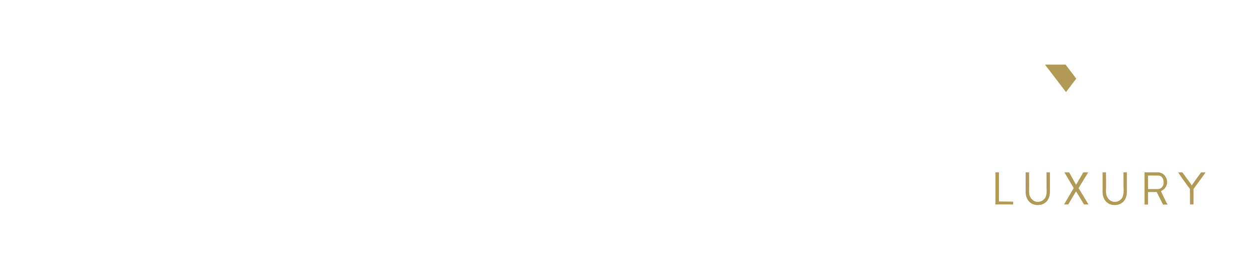 Company logo image Footer
