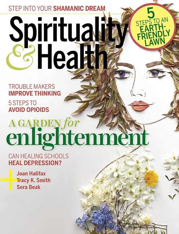 Can Healing Schools Heal Depression & Anxiety?