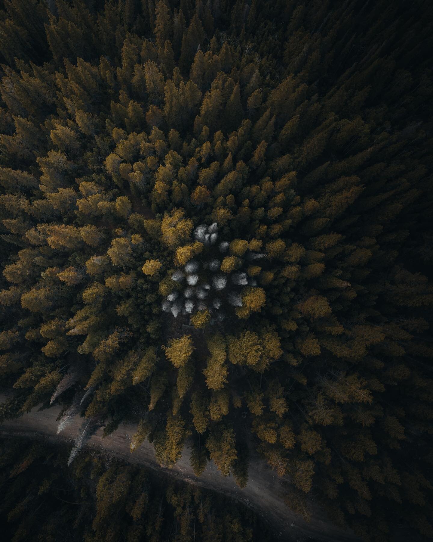 Nature is beautiful. Perspective is powerful.

#ourlonelyplanet #roamtheplanet #roamtheworld #adventure #forest #nature #naturephotography #travel #drone #fromabove #colorado