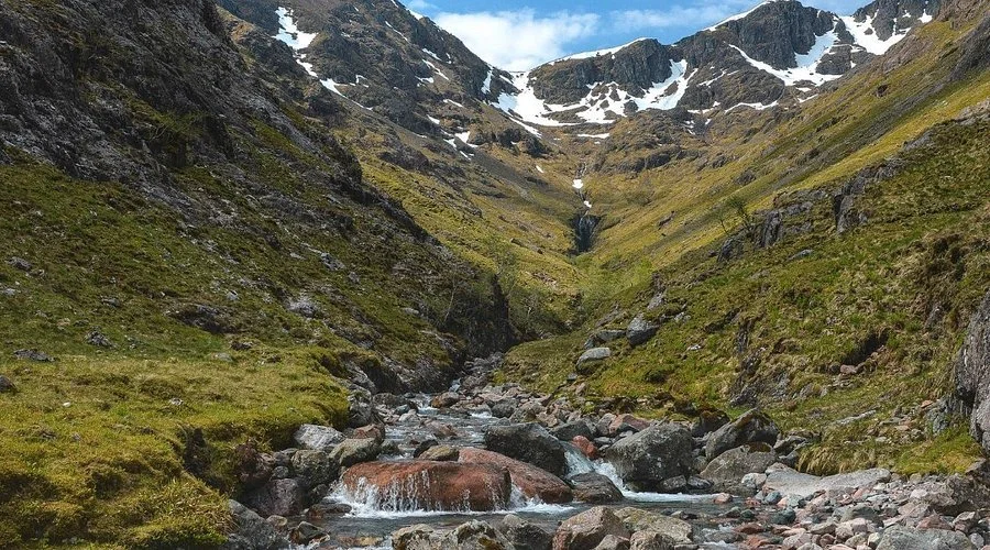 NO COUNTRY FOR OLD MEN [wild britain]