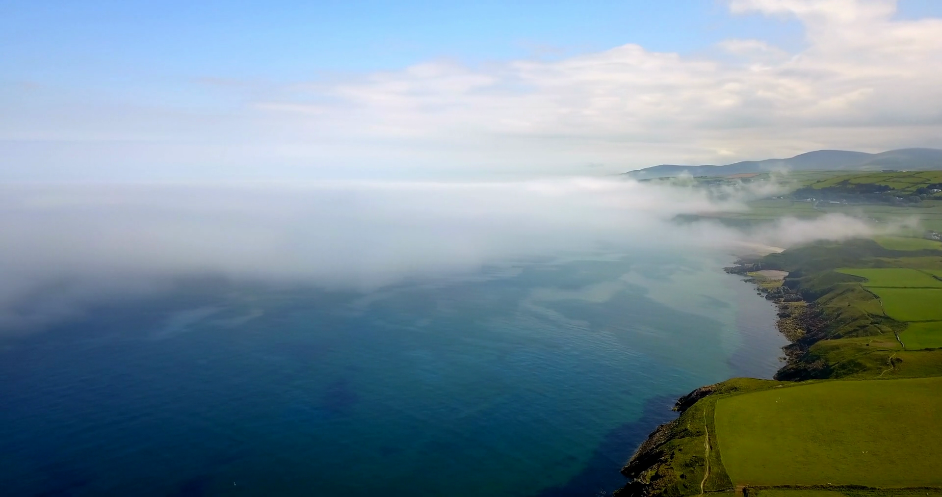 INTO THE MIST [wild britain]