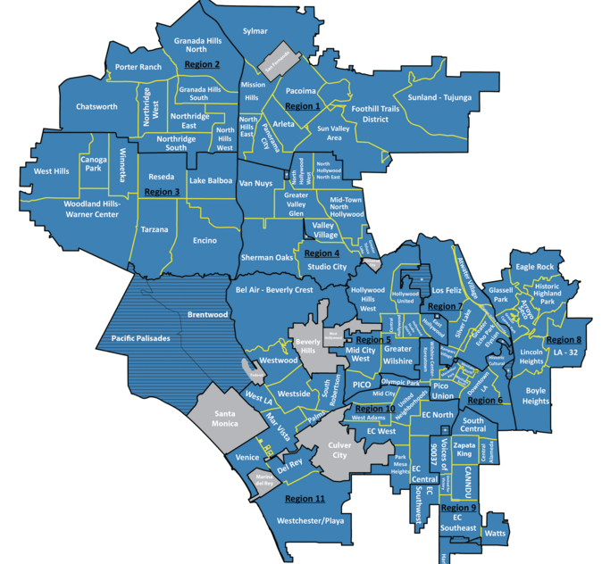 Neighborhood Council elections
