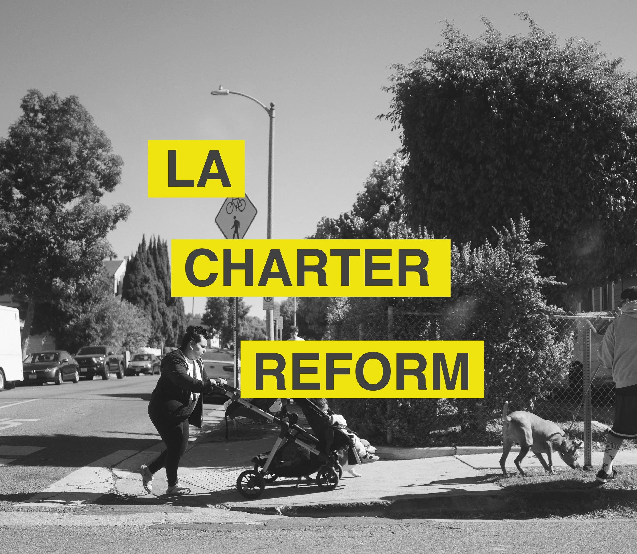 City of LA Charter Reform