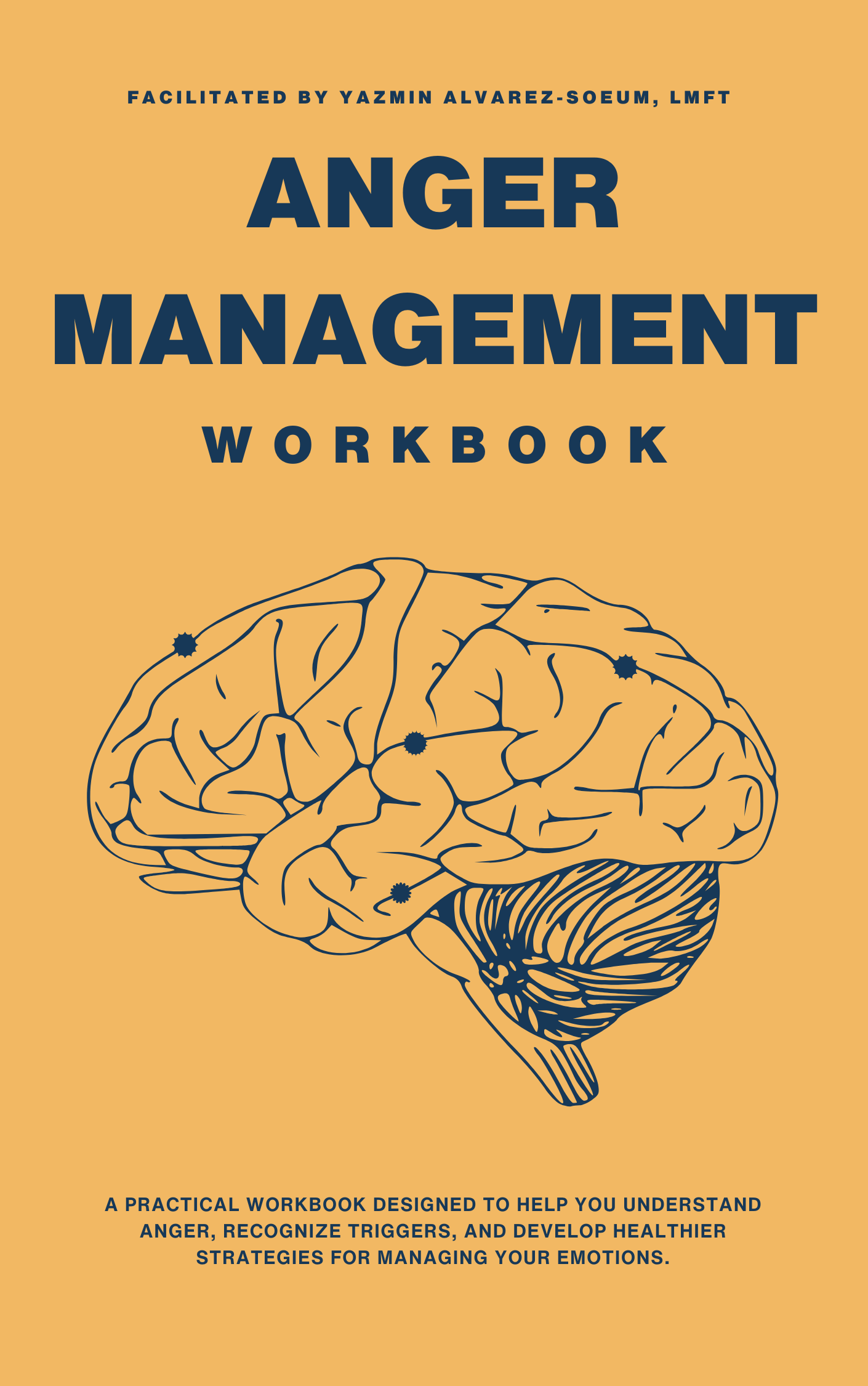 Anger Management Workbook PDF