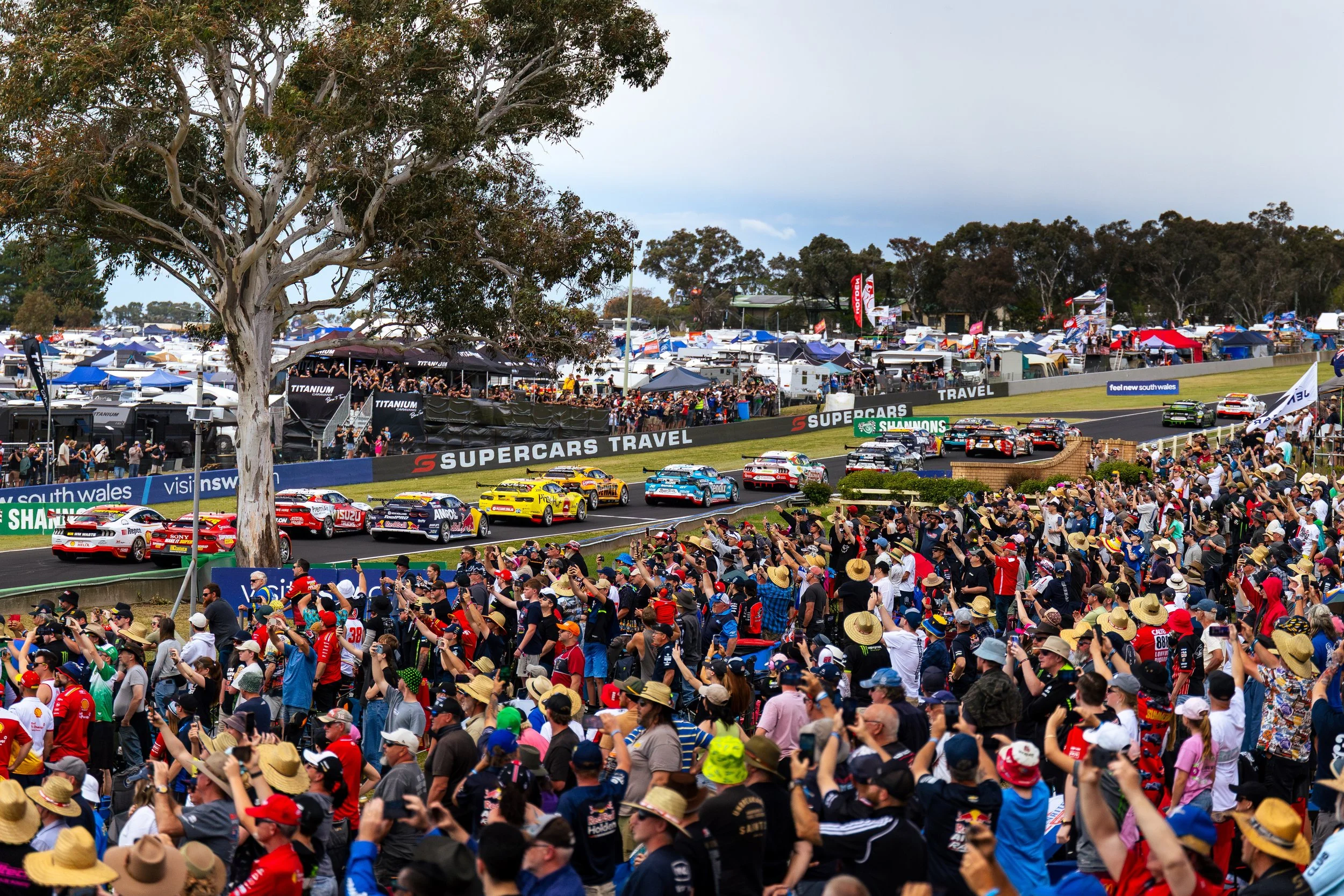 A crowd of spectators watching the start of the 2025 Bathurst 1000 from the outside of turn 1 all with arms up cheering. 