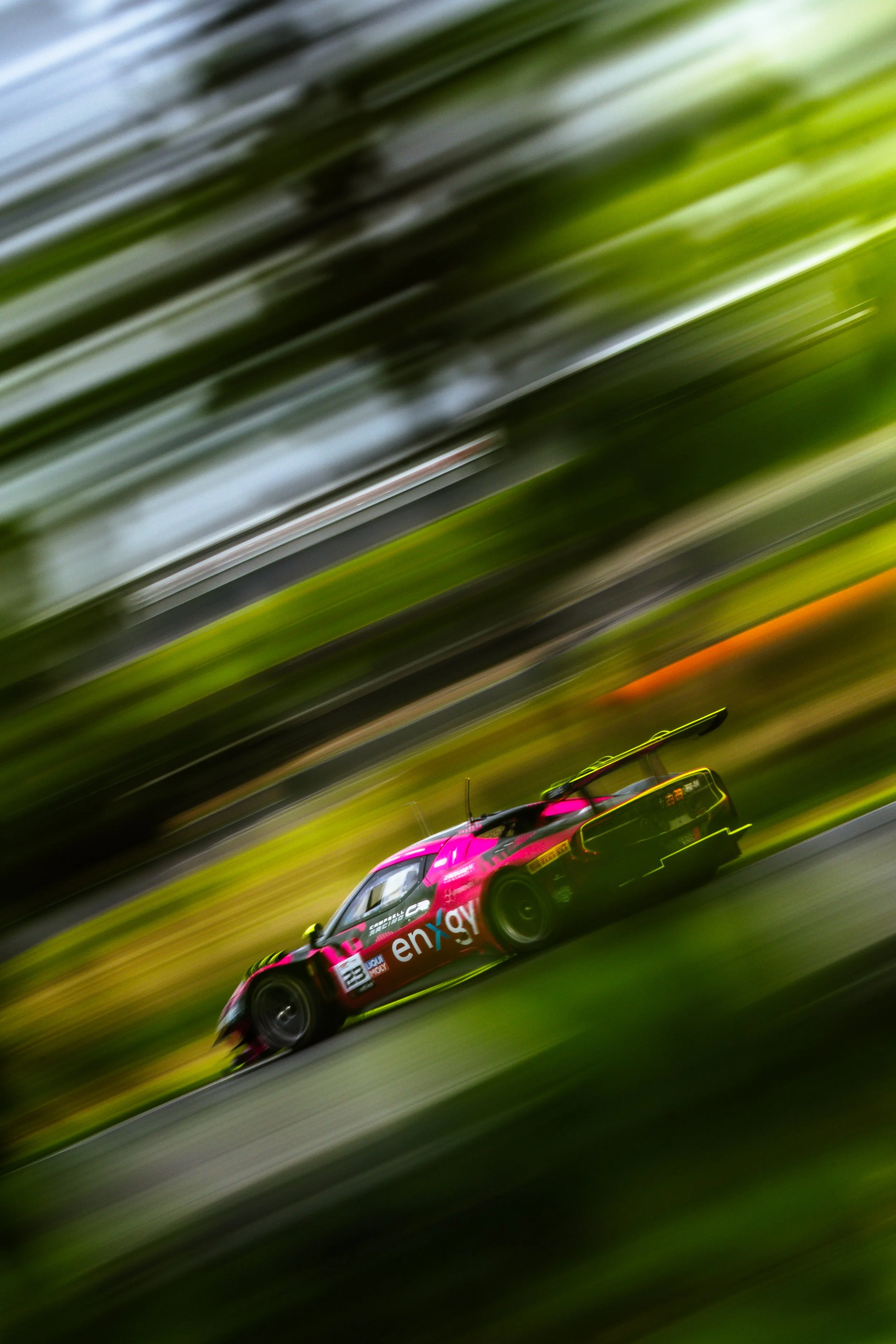 Zagame Motorsports Ferrari 296 GT3 captured at slow shutter speed through trees at the 2025 GT World Challenge Australia round at Hampton Downs.
