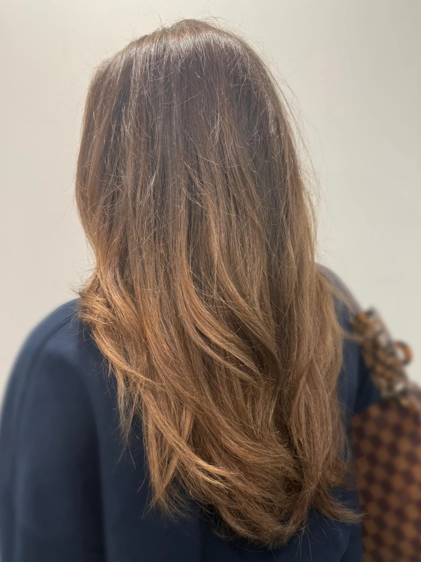 Gloss Refresh😊😊
-
we&rsquo;re embracing her natural color and letting the highlights grow out:))
-
#platinumsalon #hairstylist #redkenshadeseq