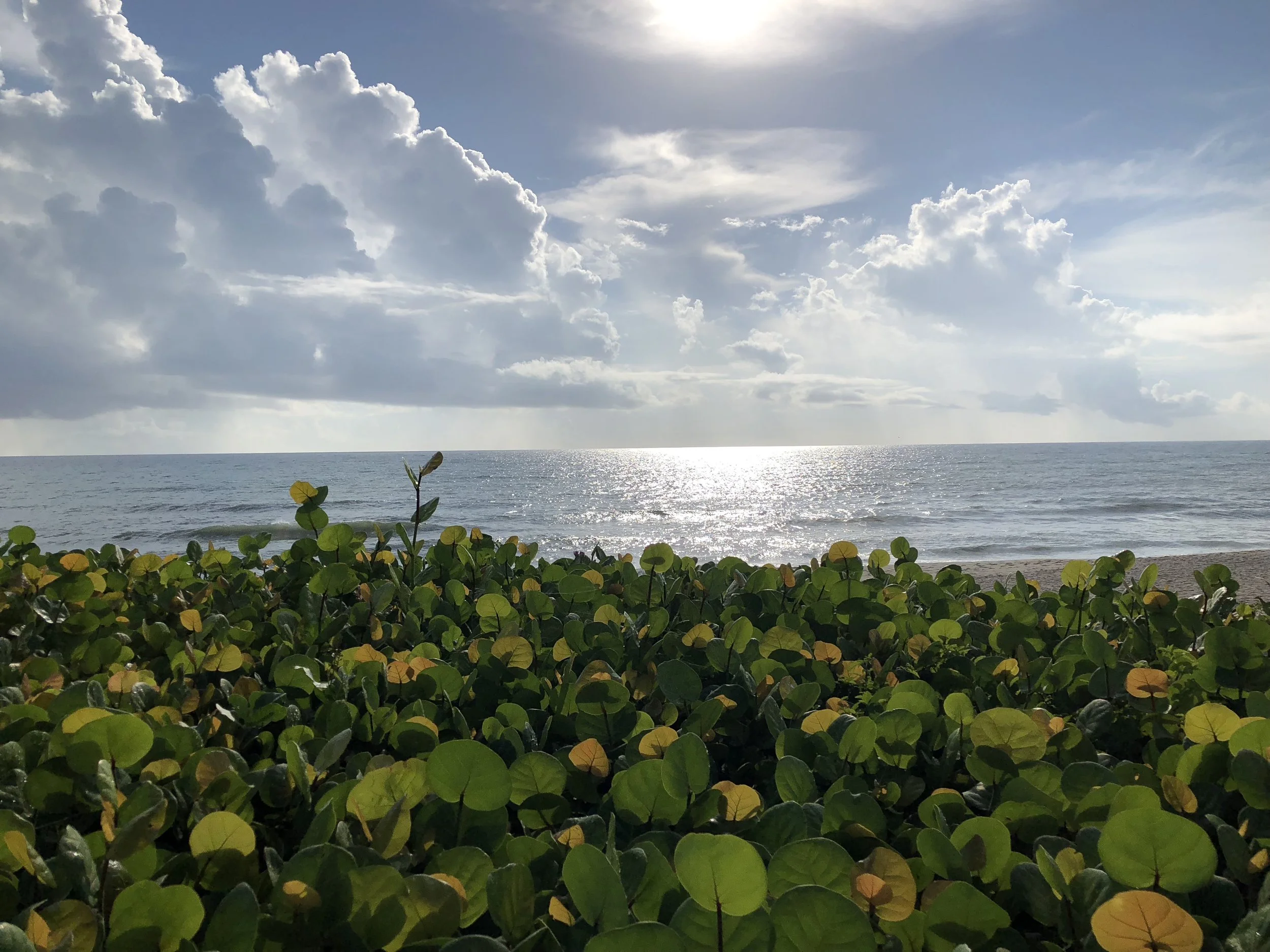 on mean girls (part 1)