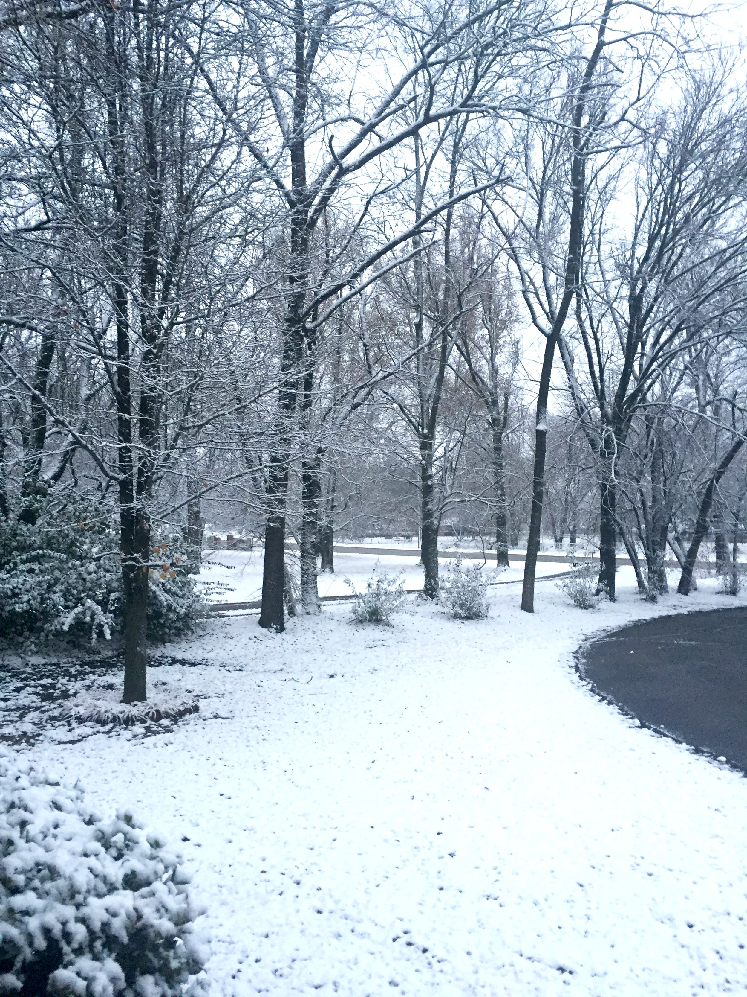 january new year is a lie