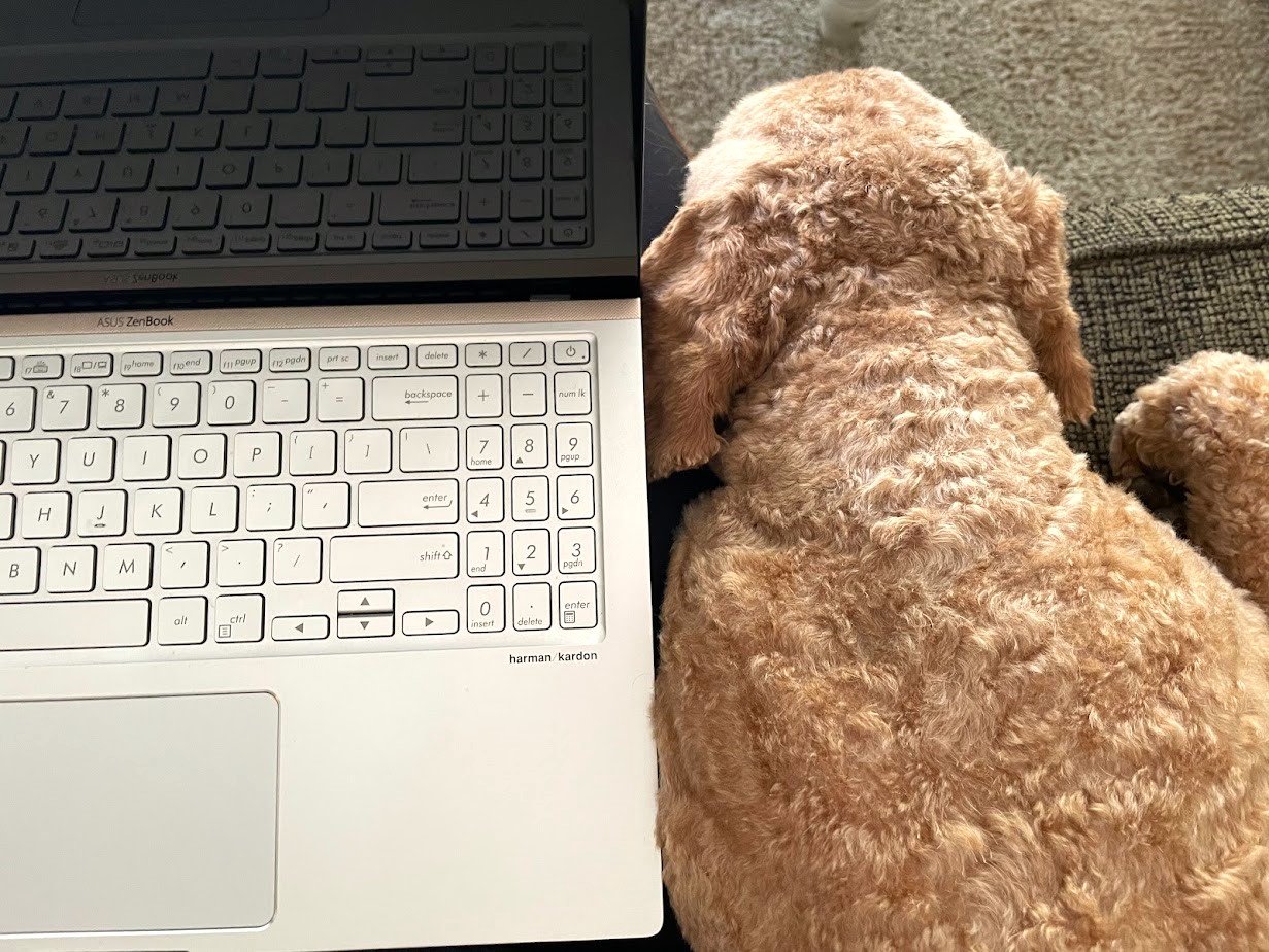 continually surprised &amp; amazed, pt. 3