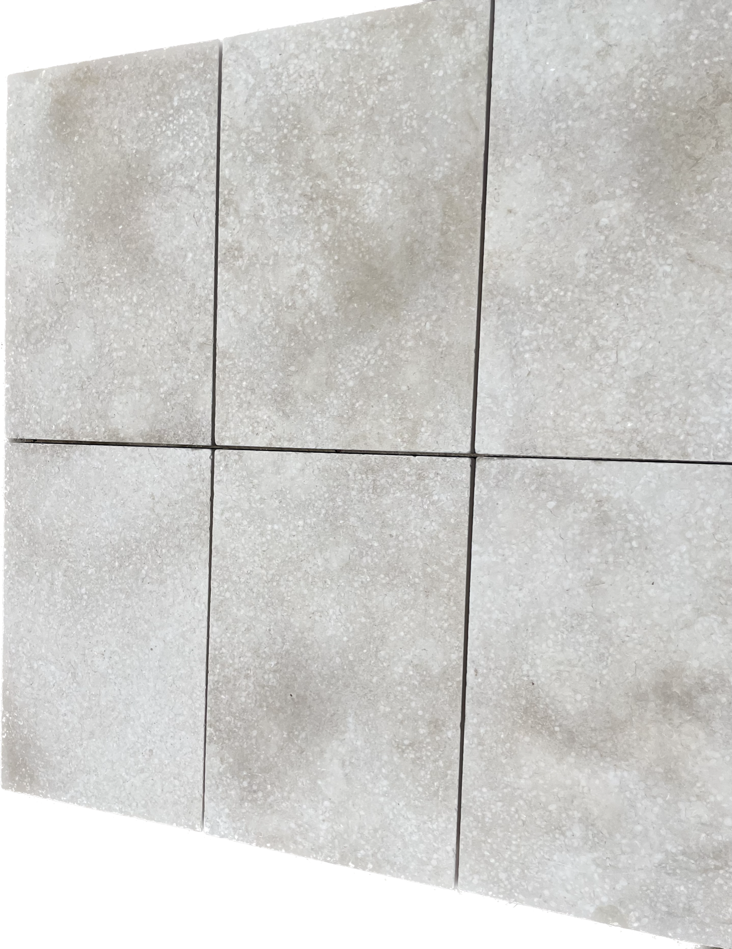 Subject 2.png