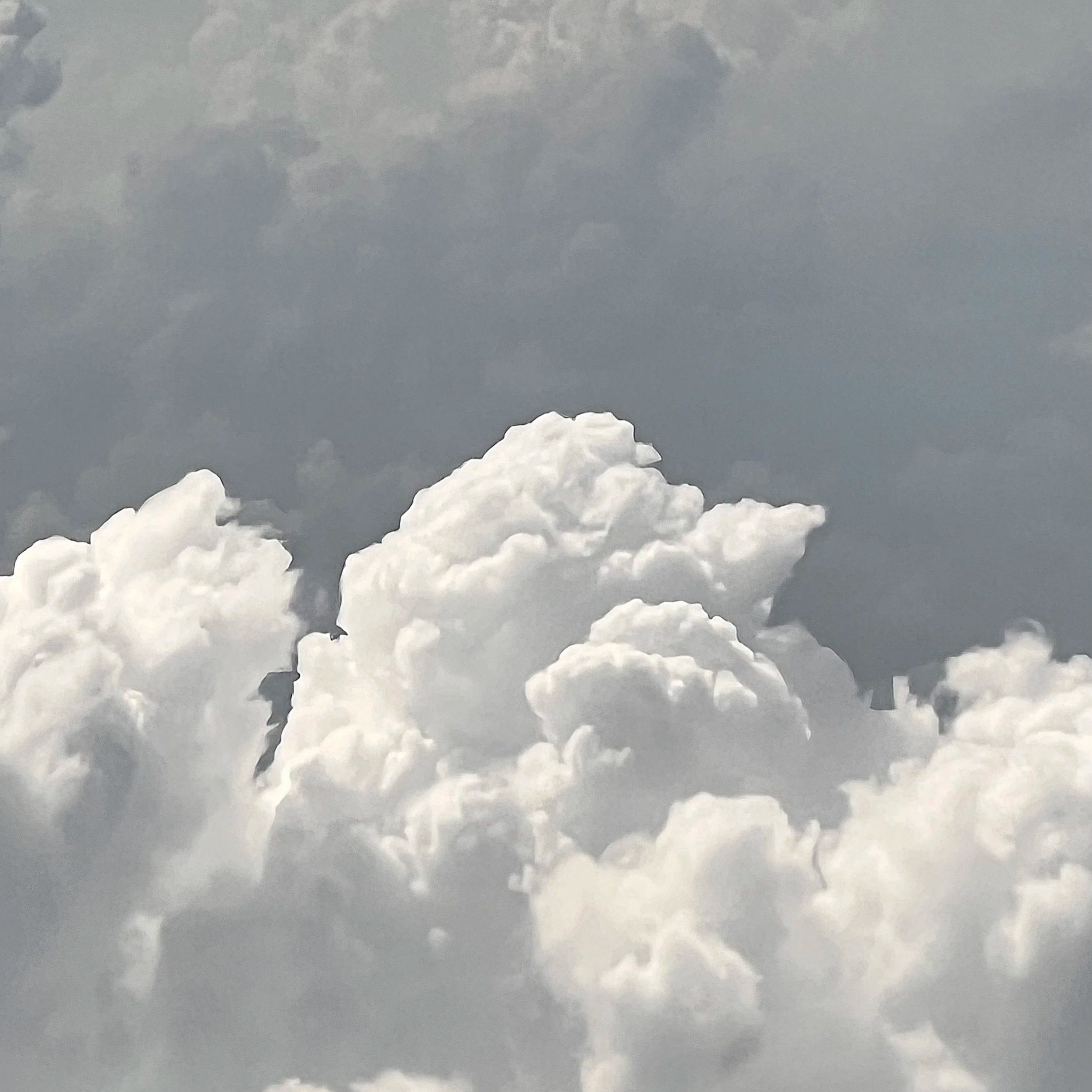 On Clouds (by Petrel)