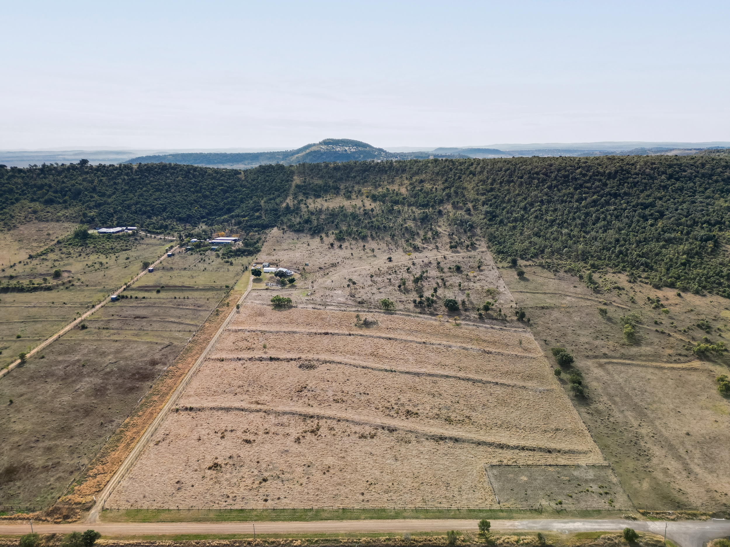 DJI_0256.png