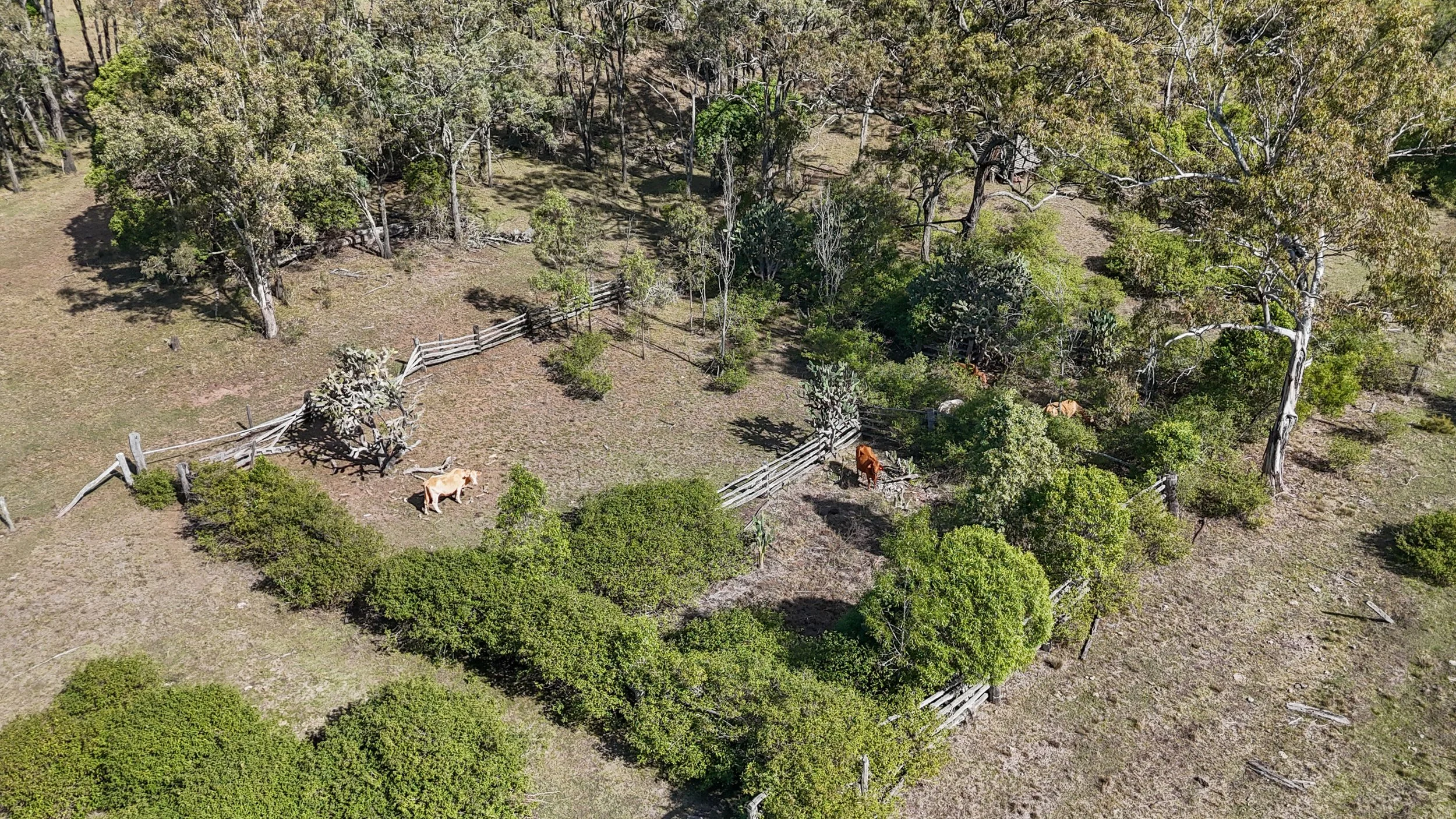 DJI_0096_D.jpg