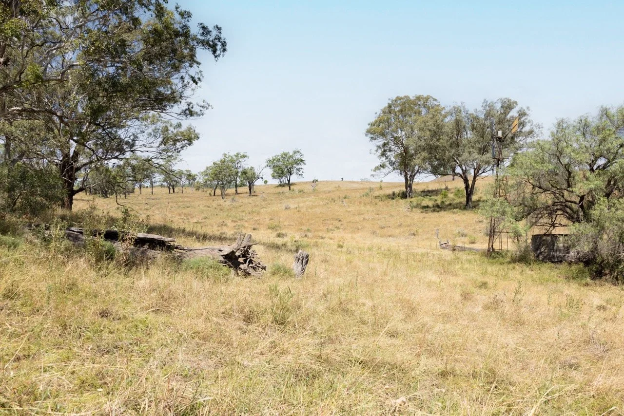 JVT-1061 copy Large.jpeg