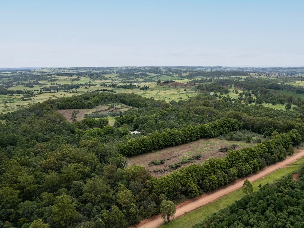 Jack van Tricht -118 Large.jpeg