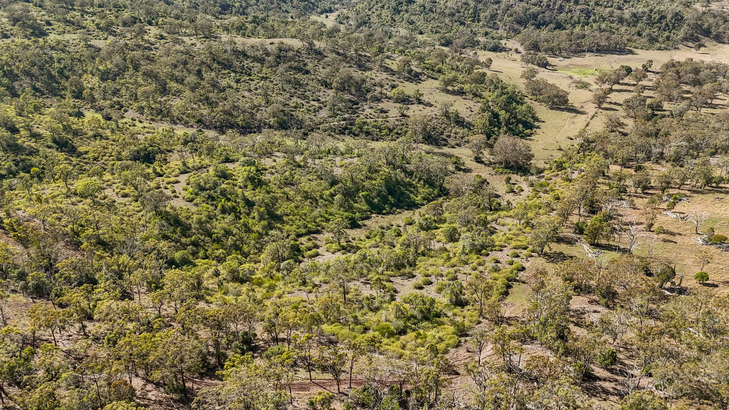 DJI_0110_D.jpg