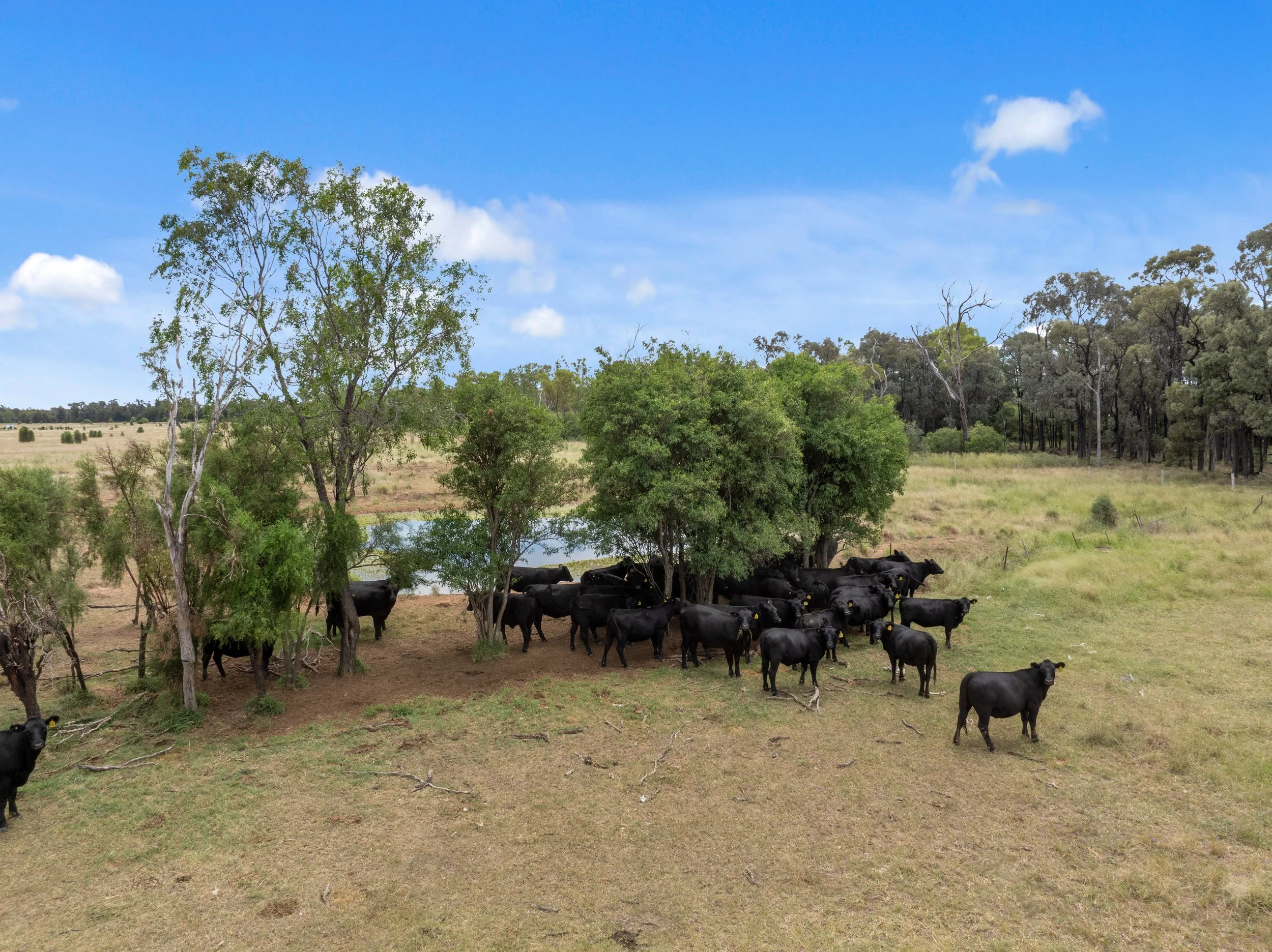 DJI_0403.JPG