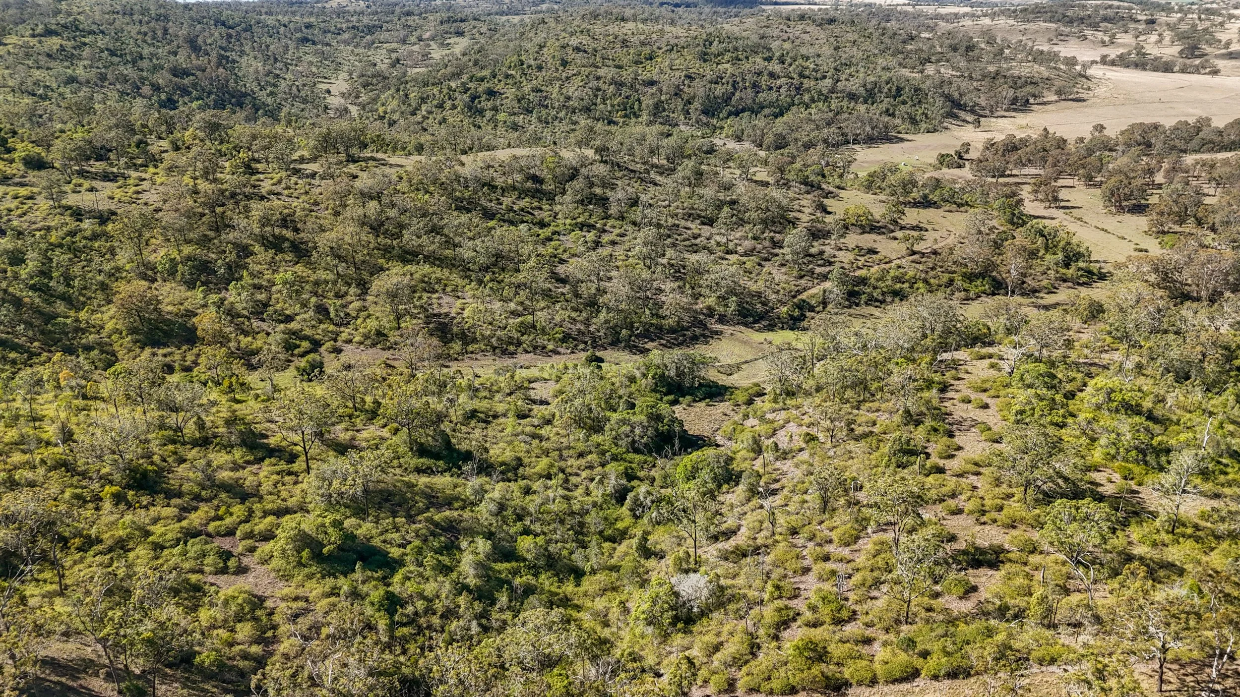 DJI_0111_D.jpg