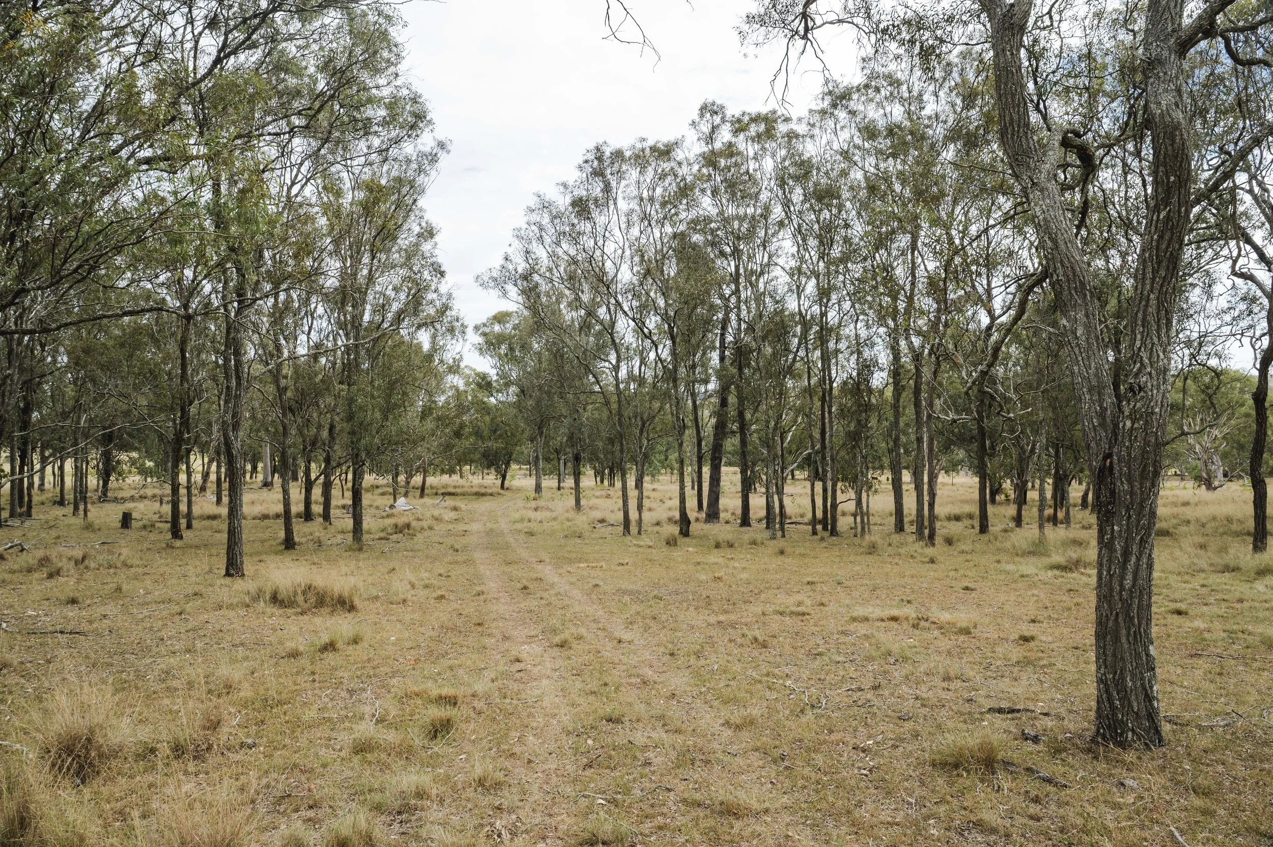 MEP_3416.jpg