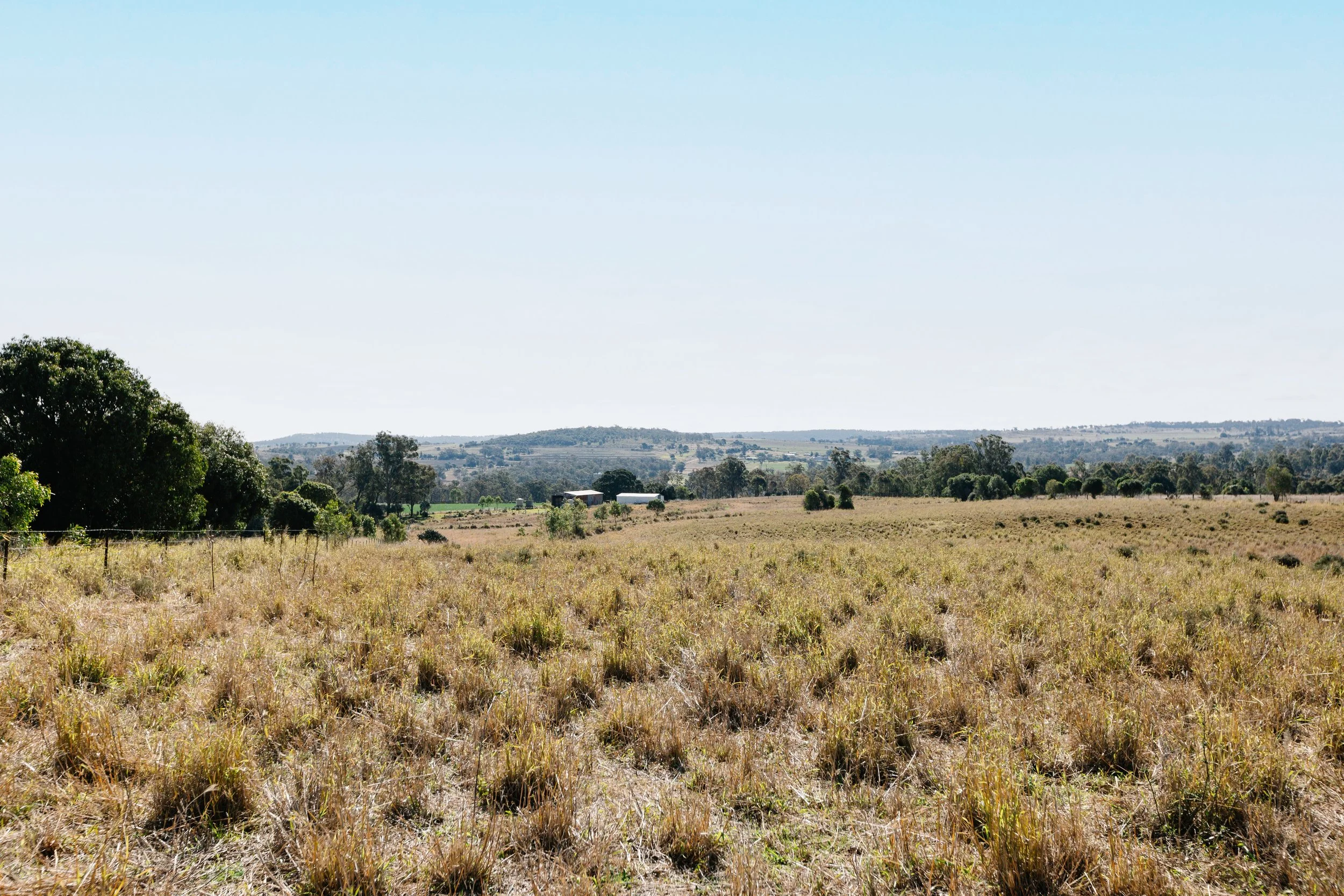 Jack van Tricht -900.jpeg