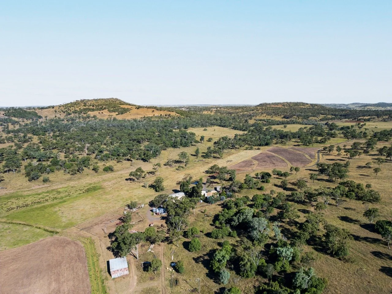 Jack van Tricht -370 Large.jpeg