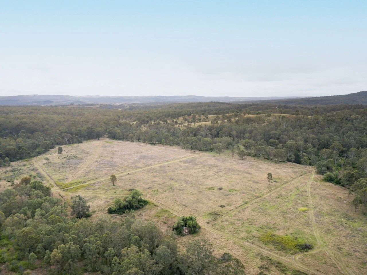 Jack van Tricht -358 Large.jpeg