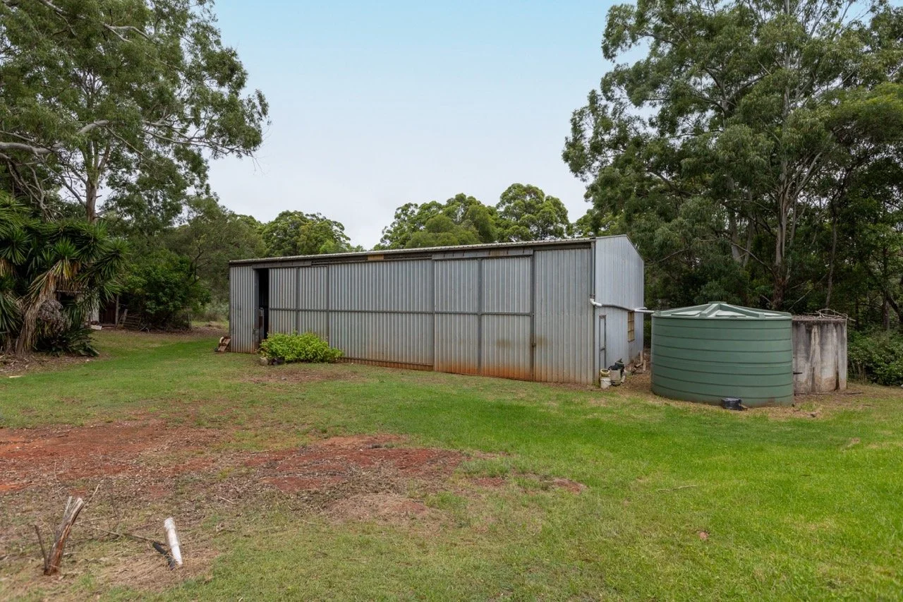 Jack van Tricht -106 Large.jpeg