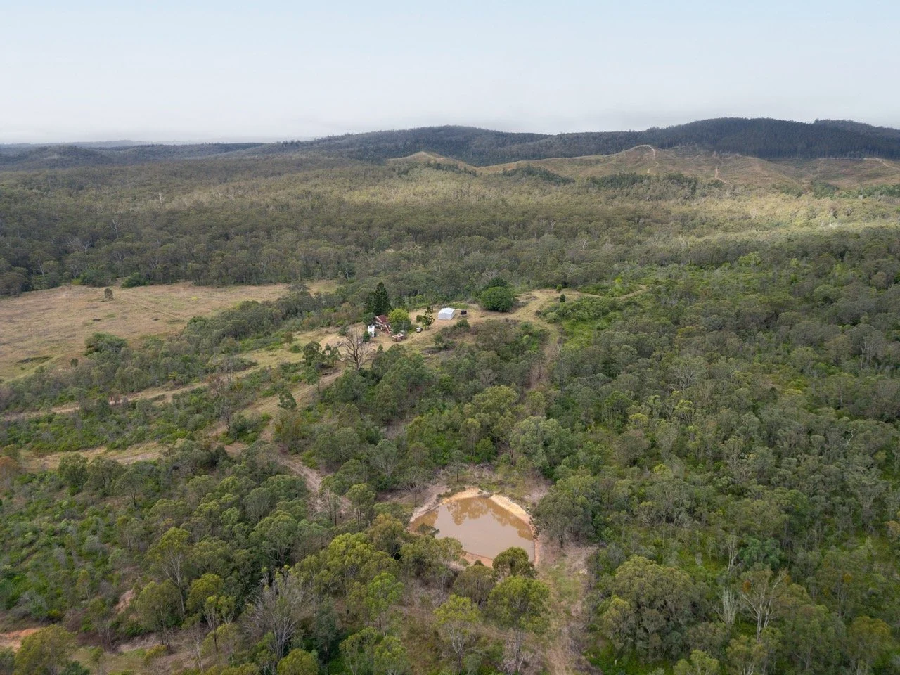 Jack van Tricht -361 Large.jpeg