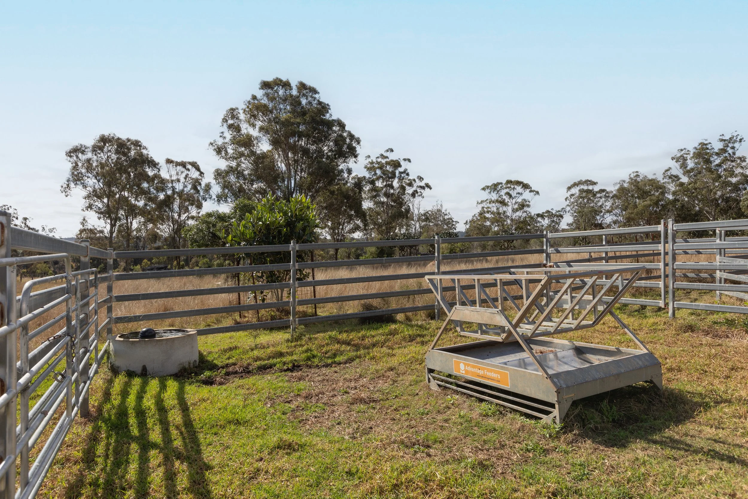 Jack van Tricht -908.jpeg