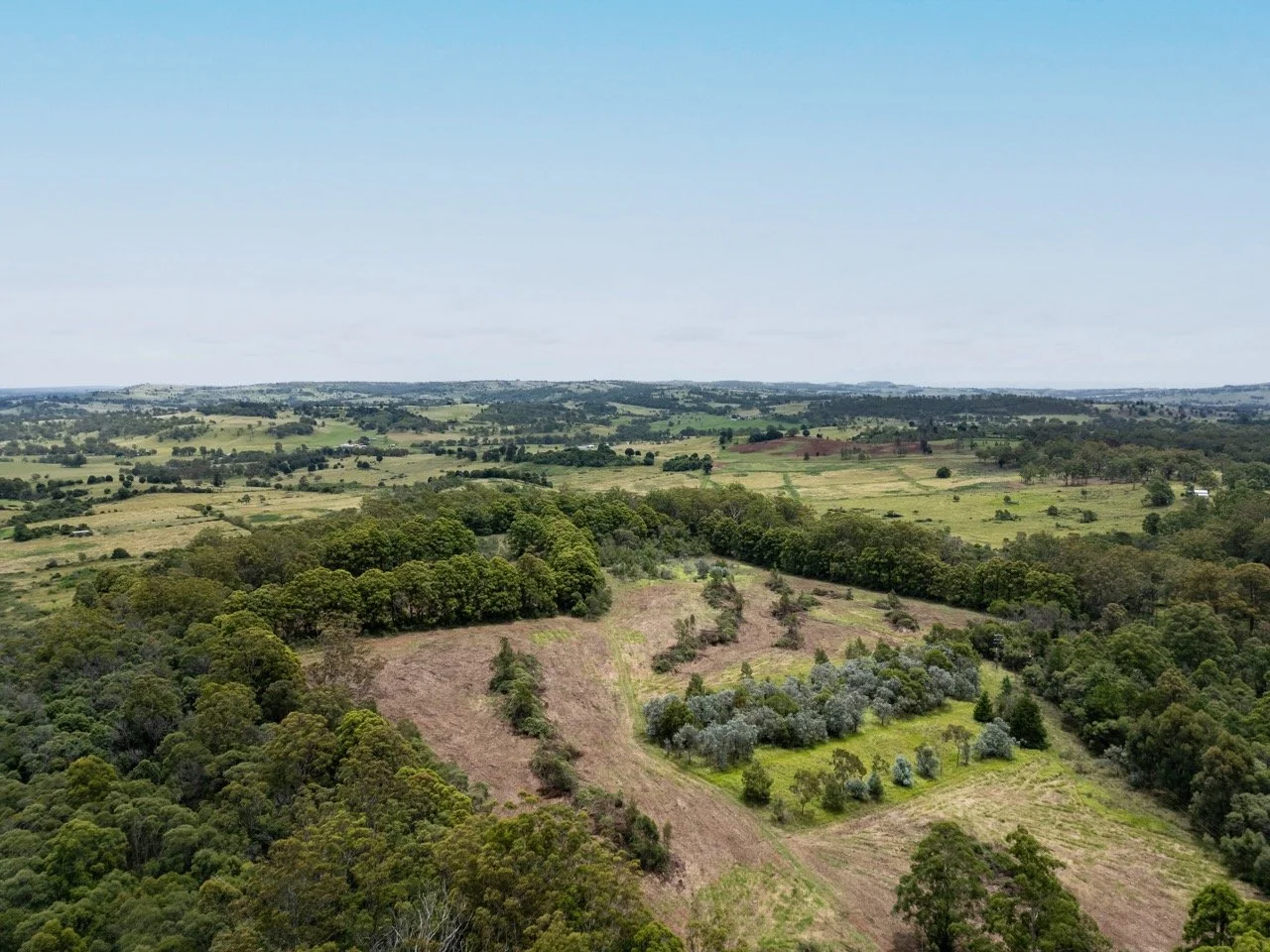 Jack van Tricht -115 Large.jpeg