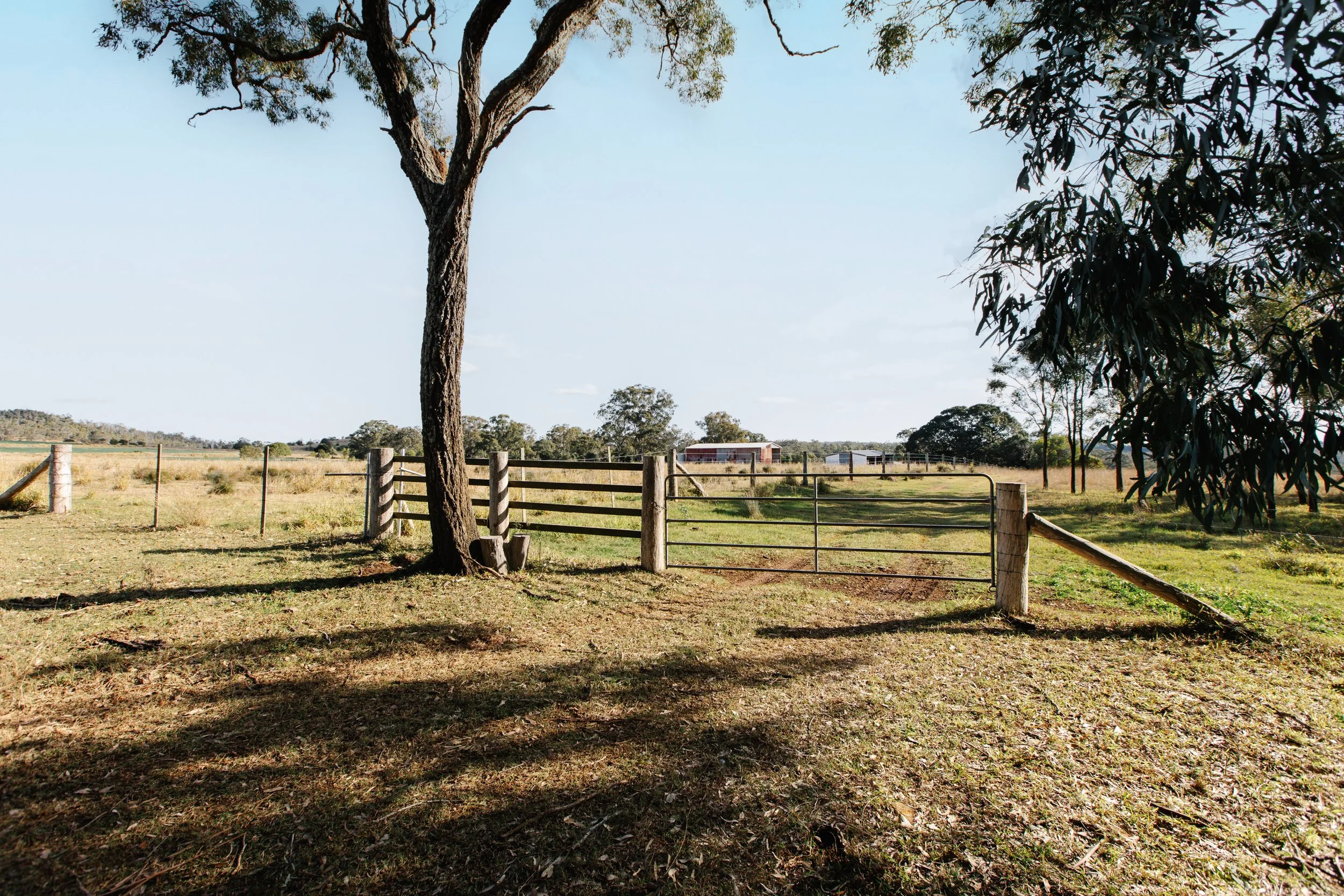 Jack van Tricht -894.jpeg