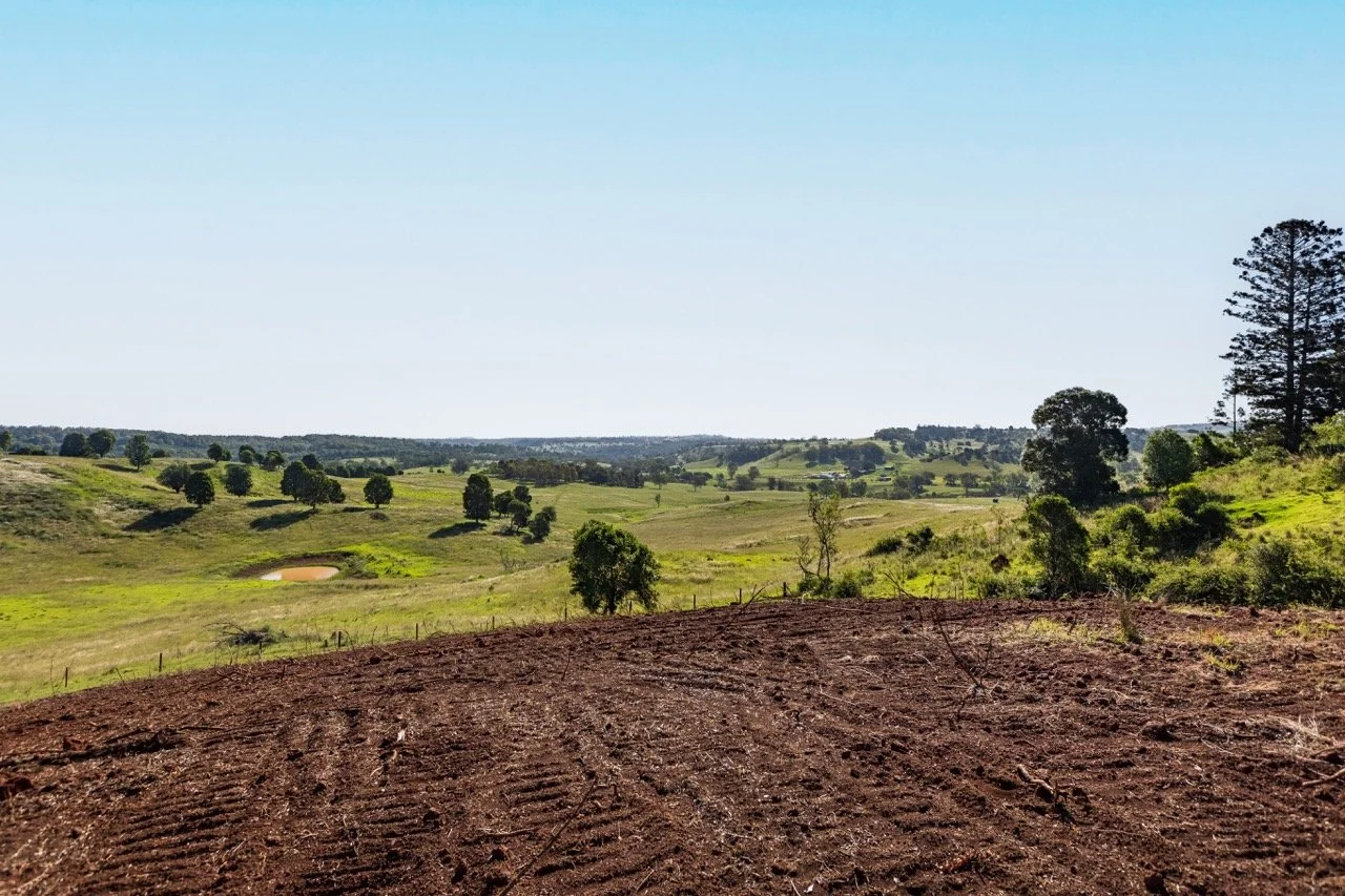 Jack van Tricht -21 Large.jpeg