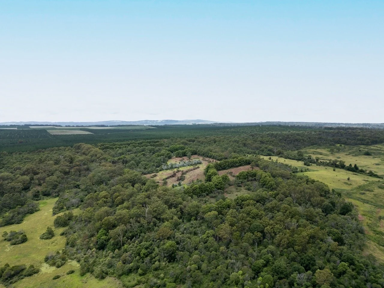 Jack van Tricht -120 Large.jpeg