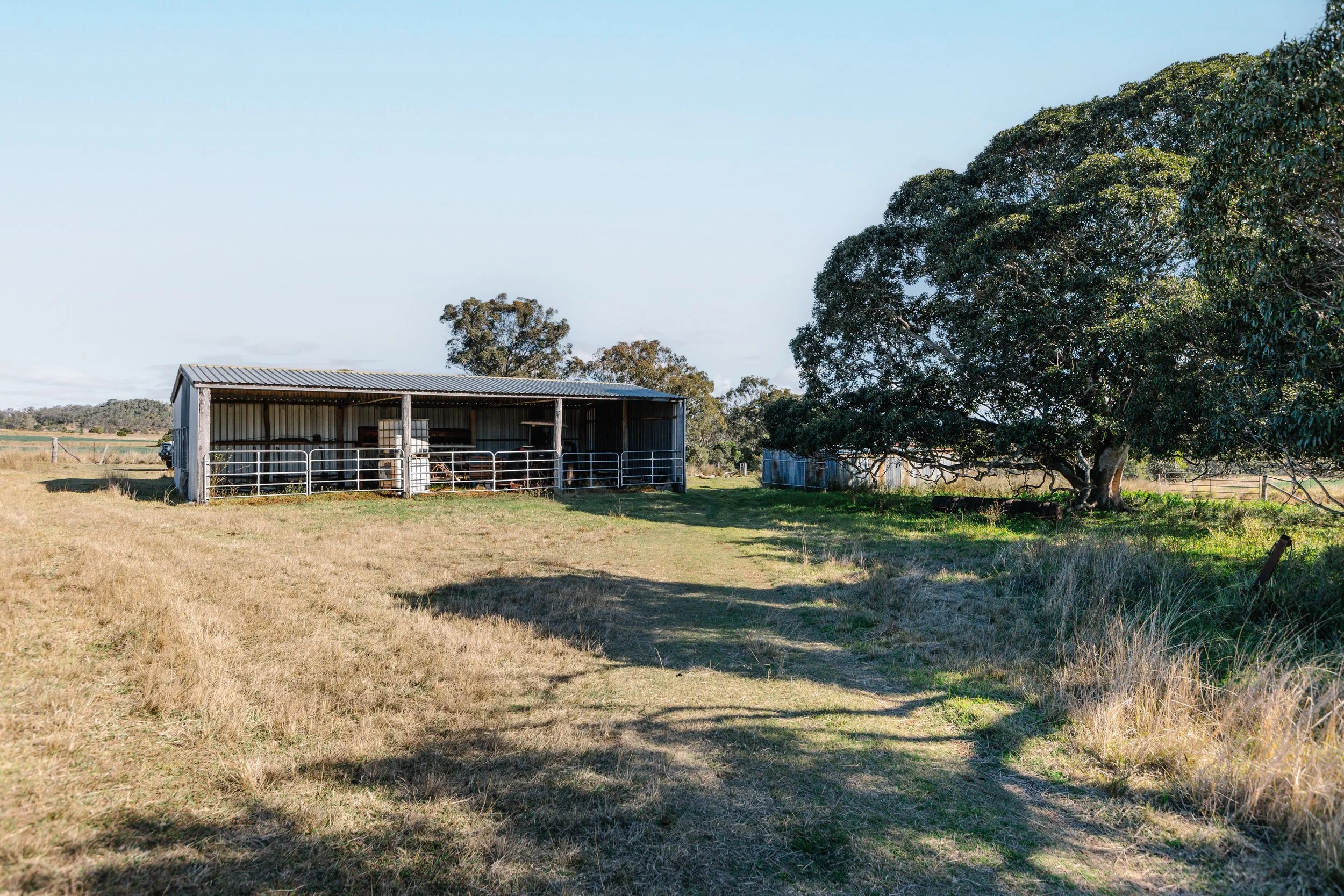 Jack van Tricht -895.jpeg