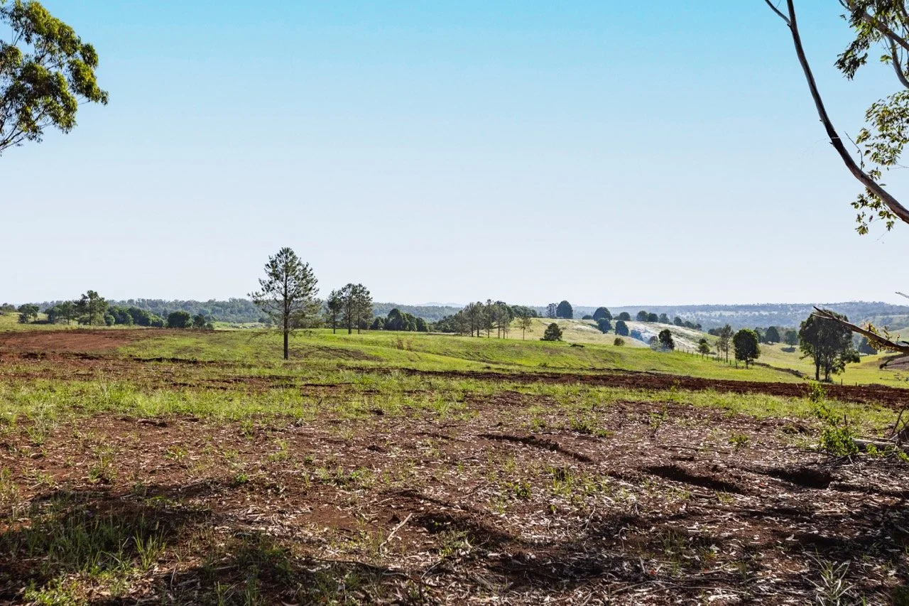 Jack van Tricht -31 Large.jpeg