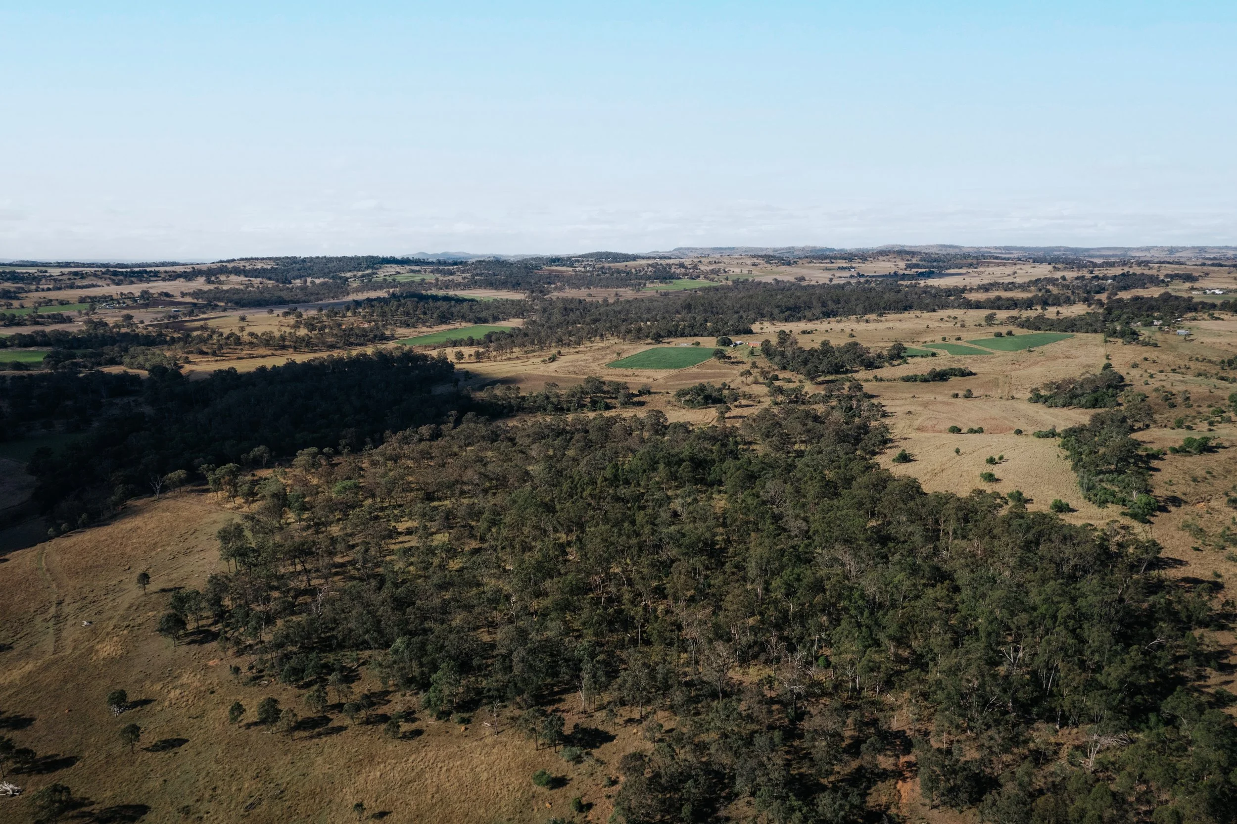 Jack van Tricht -914.jpeg