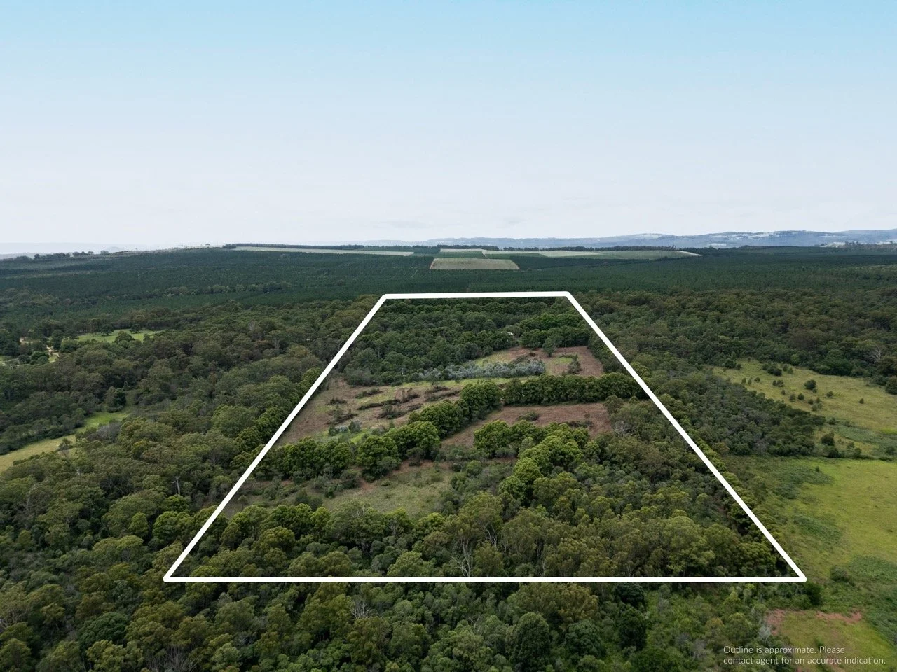 Jack van Tricht -121 Large.jpeg