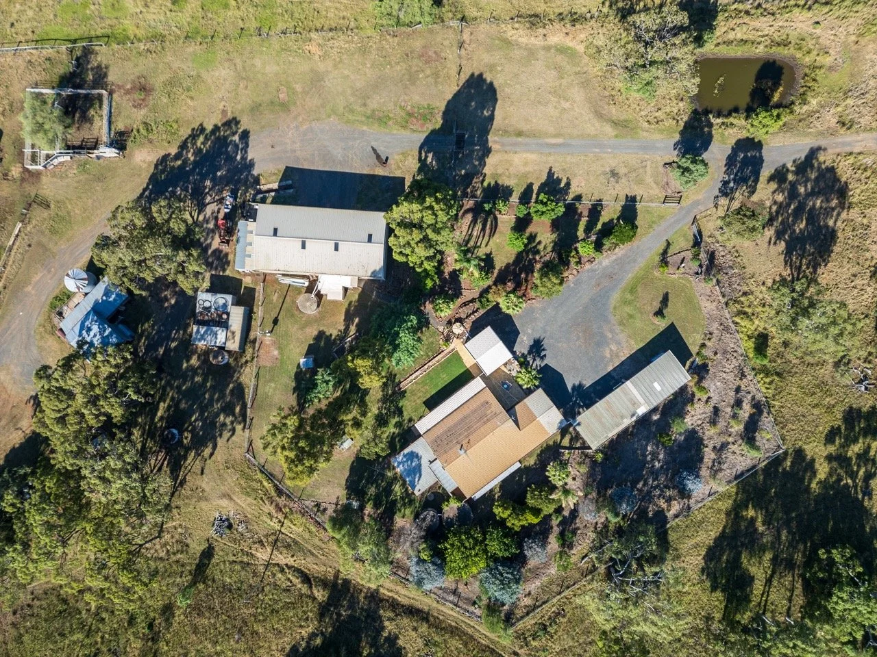 Jack van Tricht -369 Large.jpeg