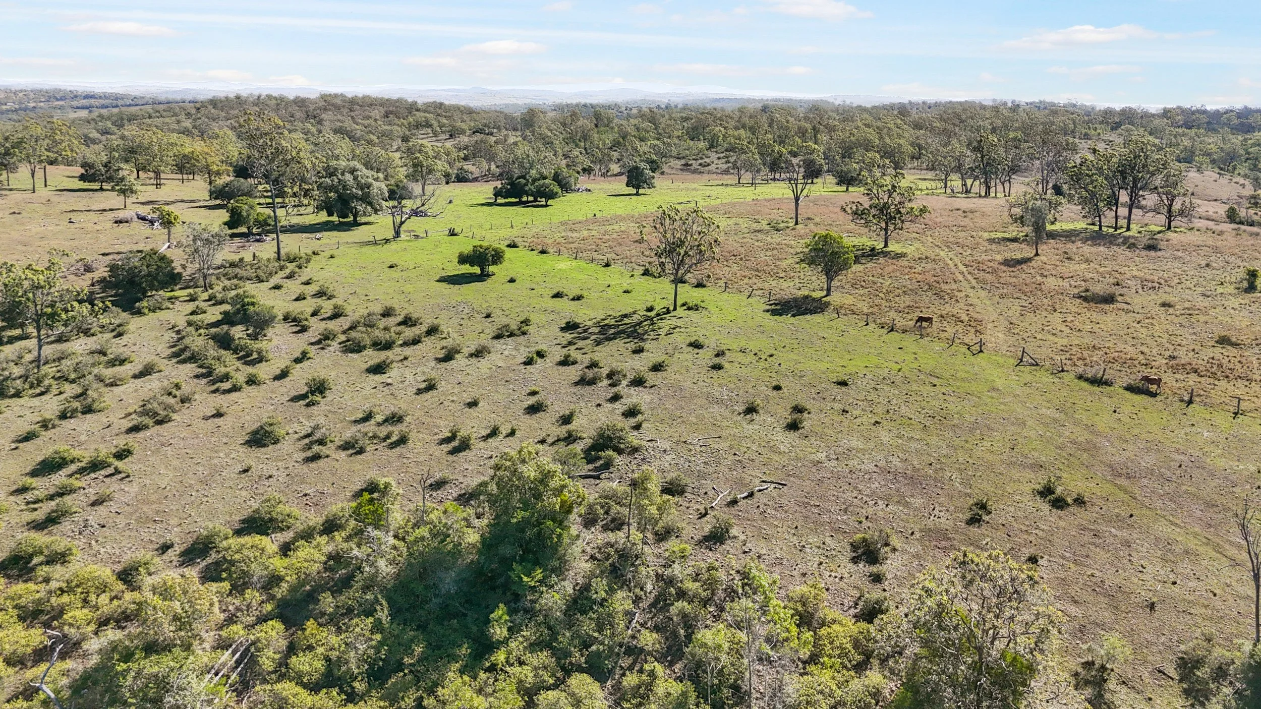 DJI_0113_D.jpg