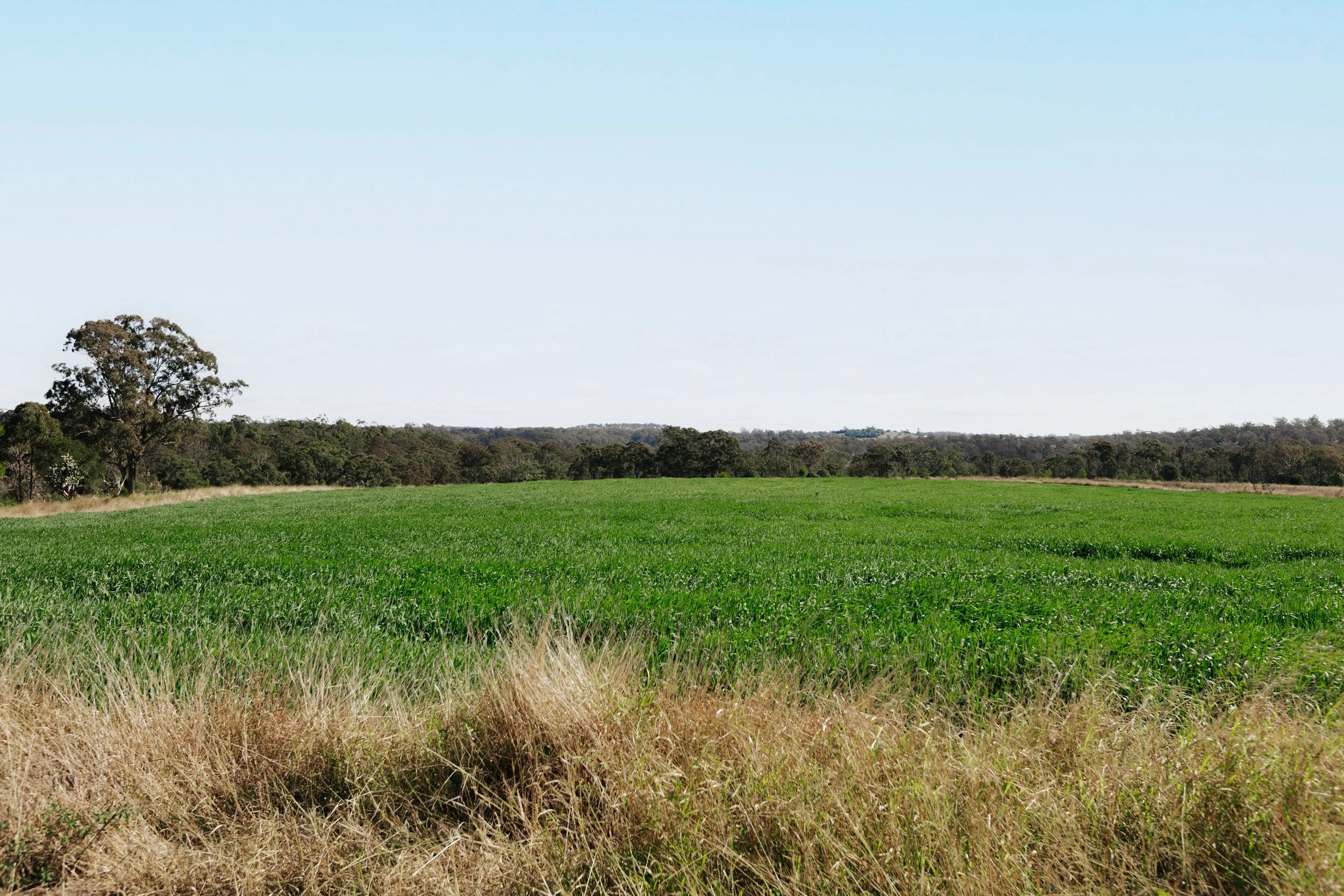 Jack van Tricht -905.jpeg