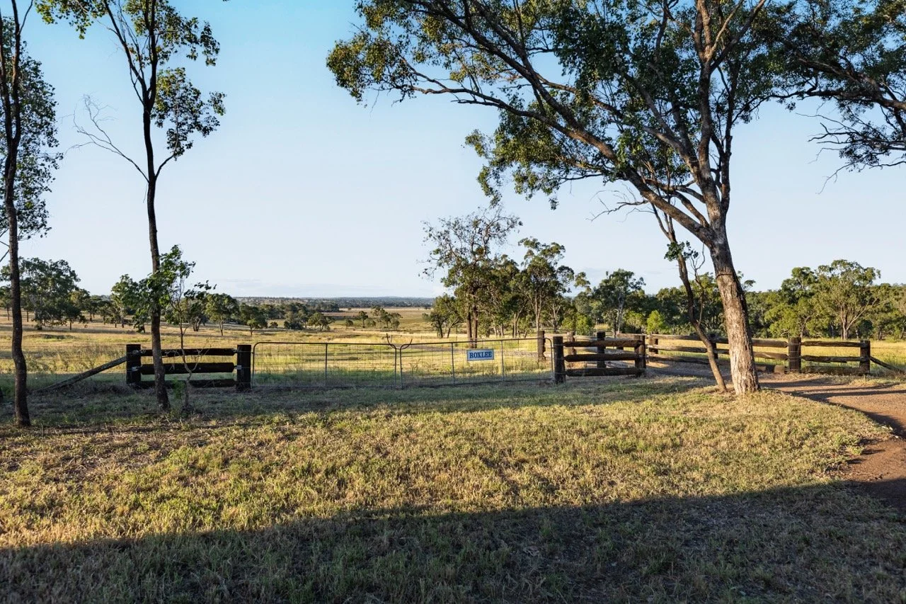 Jack van Tricht -352 Large.jpeg