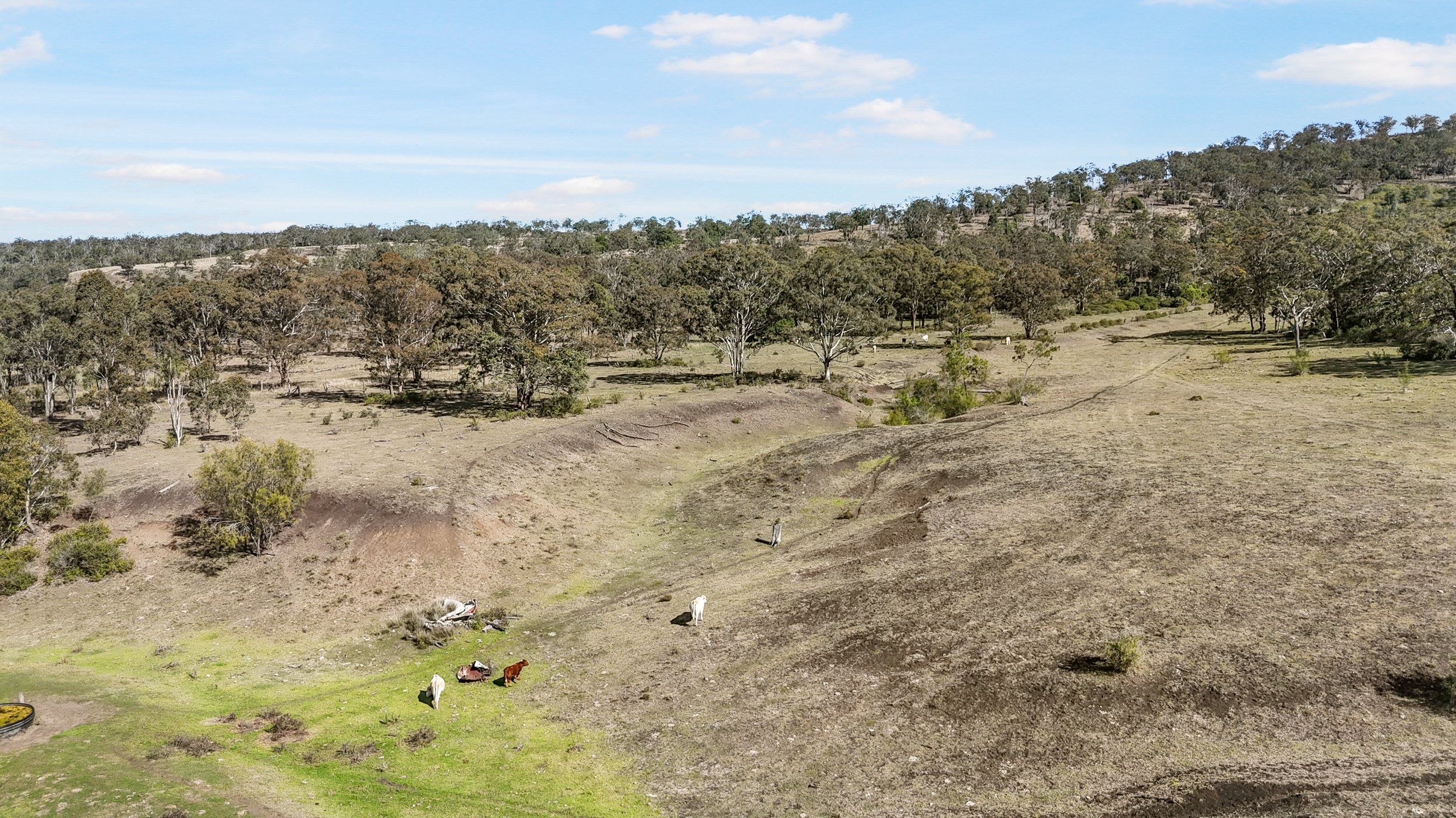 DJI_0103_D.jpg