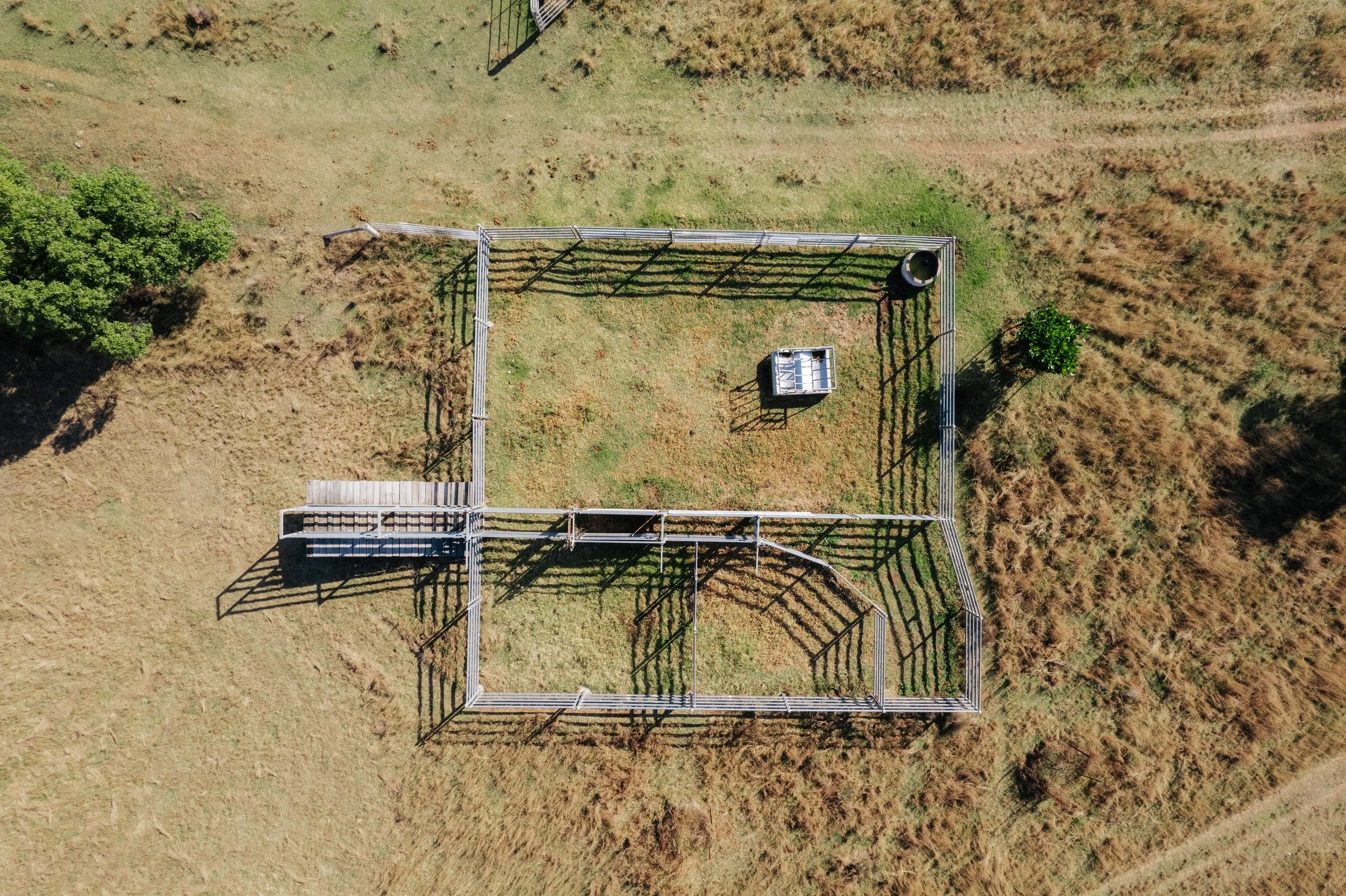 Jack van Tricht -917.jpeg